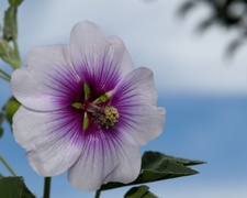 Enlarge photo 127