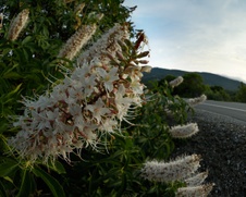 Enlarge photo 88