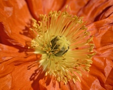 Enlarge photo 35