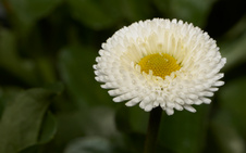 Enlarge photo 143