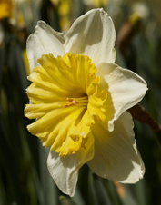 Enlarge photo 146