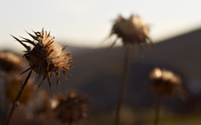 Enlarge photo 157