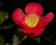 Enlarge photo 136