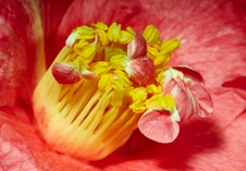 Enlarge photo 45