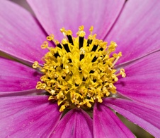 Enlarge photo 29
