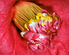 Enlarge photo 25