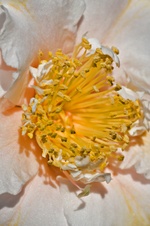Enlarge photo 36