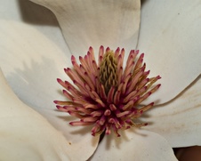 Enlarge photo 38