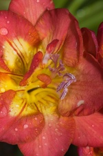 Enlarge photo 33