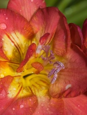 Enlarge photo 34