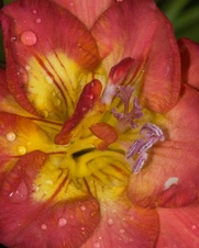 Enlarge photo 31