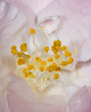 Enlarge photo 35