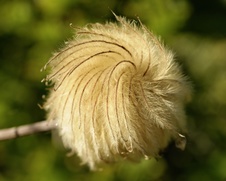 Enlarge photo 42