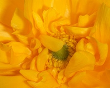 Enlarge photo 49