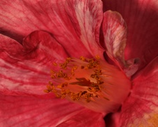 Enlarge photo 53