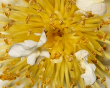 Enlarge photo 52