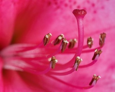 Enlarge photo 46