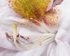 Enlarge photo 47