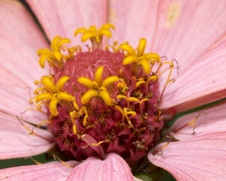 Enlarge photo 48