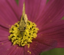 Enlarge photo 15
