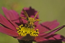 Enlarge photo 14