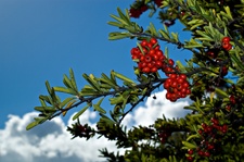 Enlarge photo 7