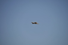 Enlarge photo 30