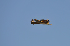 Enlarge photo 31