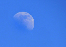 Enlarge photo 35