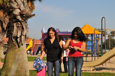 Enlarge photo 23