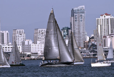 Beer Can Races San Diego Bay