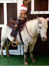 Brennan's Christmas Horse