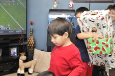Enlarge photo 15