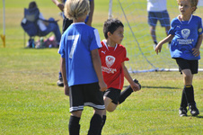Enlarge photo 15