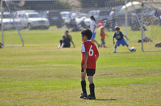Enlarge photo 24