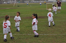 Enlarge photo 18