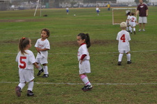 Enlarge photo 22