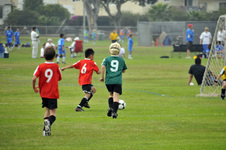 Enlarge photo 24