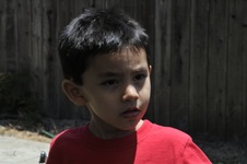 Enlarge photo 23