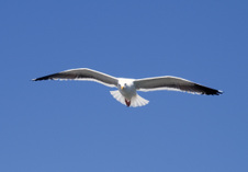 Enlarge photo 26