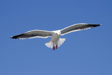 Enlarge photo 27