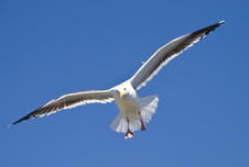 Enlarge photo 28