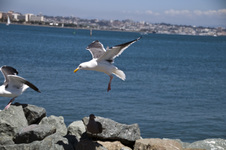 Enlarge photo 29