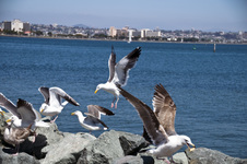 Enlarge photo 30
