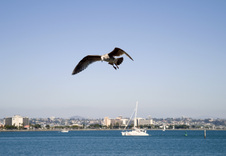 Enlarge photo 32