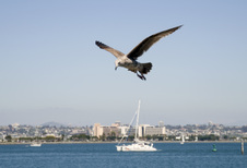 Enlarge photo 33