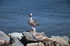 Enlarge photo 37