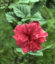 Enlarge photo 32