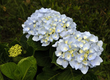 Enlarge photo 25