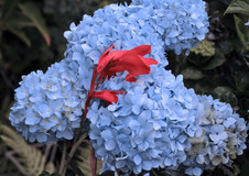 Enlarge photo 26
